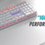 RAPOO V500PRO White Edition Full Size Mechanical USB-a Gaming Keyboard Spill Resistant,Anti-Ghosting, RGB Lighting 5 Modes, Aluminium Alloy, Windows/macOS/PC/Laptop, 2 Years Warranty